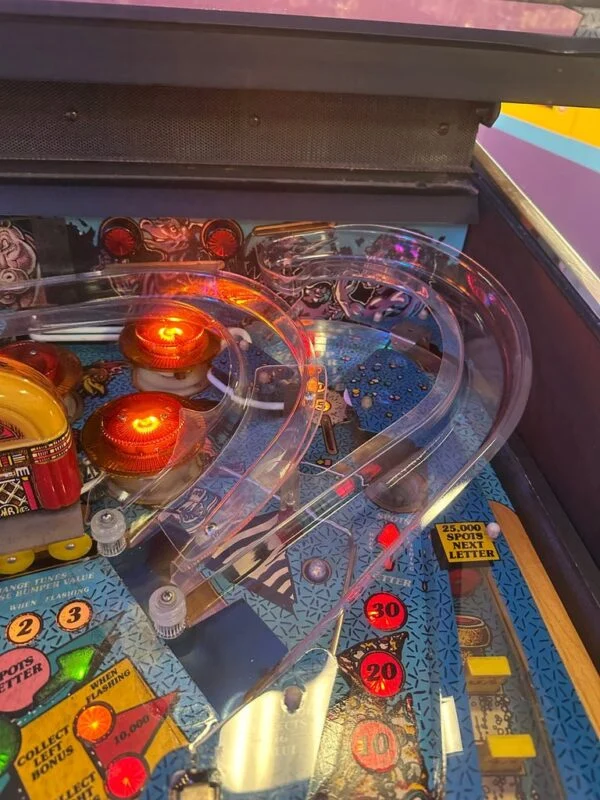 Bally Party Animal Pinball Machine — image 7