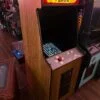Pengo Arcade Game — Gallery image 2 Pengo Arcade Game — image 2