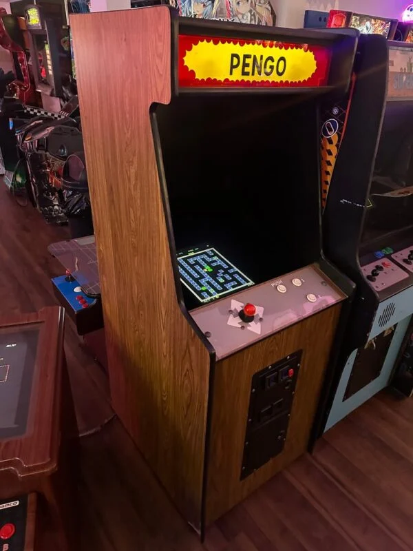 Pengo Arcade Game — image 2