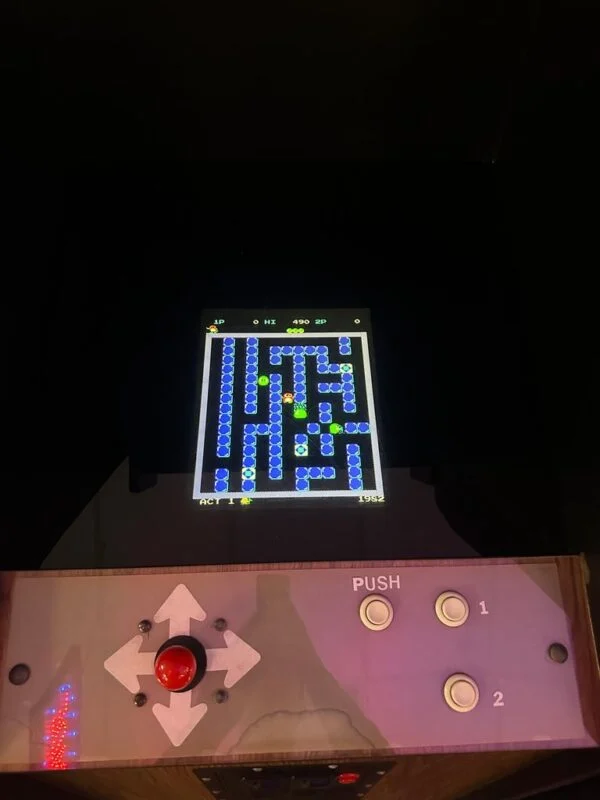 Pengo Arcade Game — image 5